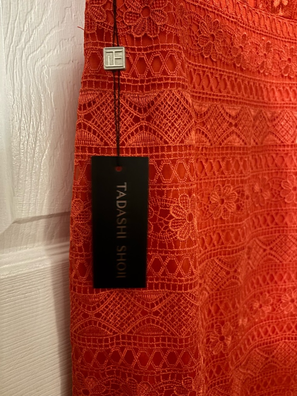 Sleeveless Lace Maxi Dress in Burnt Orange - Picture 4 of 7